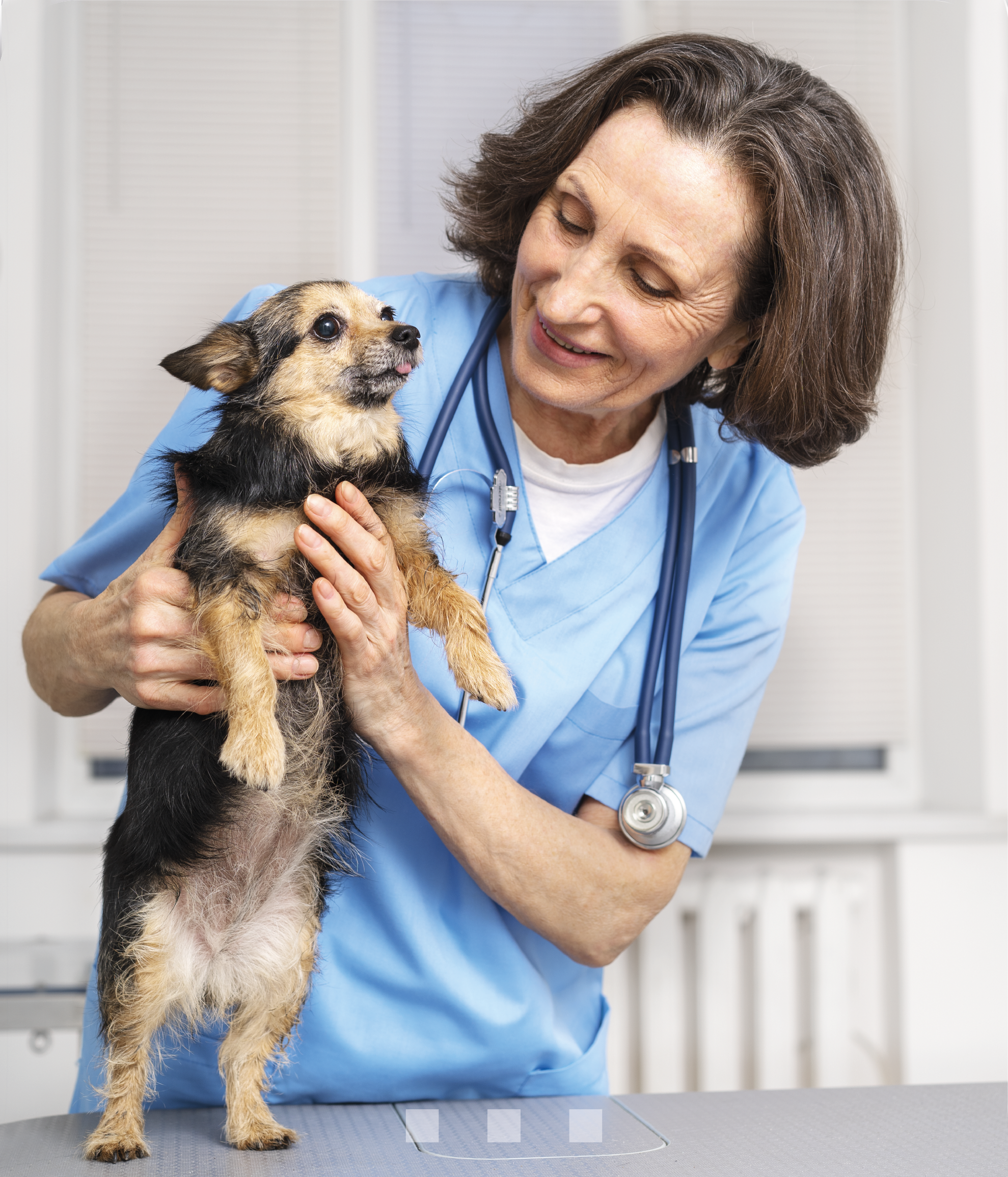 VetPeace deneme paketleri ve veteriner klinik başlangıç paketleri
